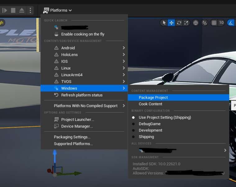 Unreal Engine 5 Packaging - Windows SDK